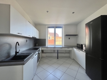 Prodej domu 378 m², Údlice