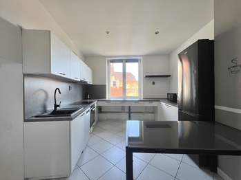 Prodej domu 378 m², Údlice