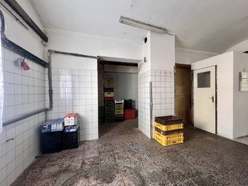 Prodej domu 378 m², Údlice