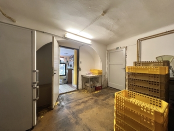 Prodej domu 378 m², Údlice