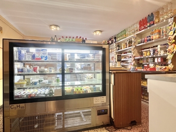 Prodej domu 378 m², Údlice