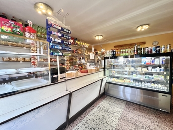 Prodej domu 378 m², Údlice