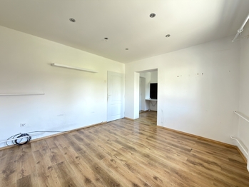 Prodej domu 407 m², Údlice