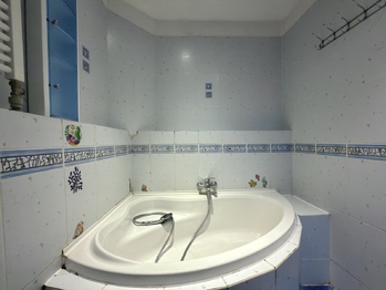 Prodej domu 407 m², Údlice