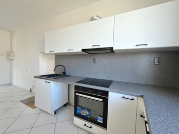 Prodej domu 407 m², Údlice