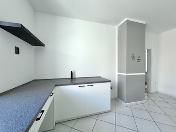 Prodej domu 407 m², Údlice