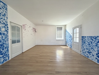 Prodej domu 407 m², Údlice