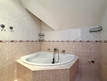Prodej domu 407 m², Údlice