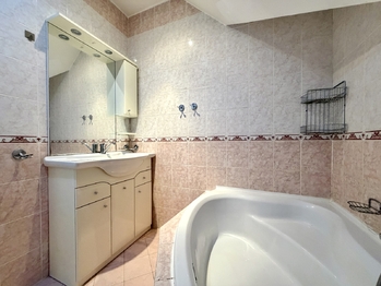 Prodej domu 407 m², Údlice