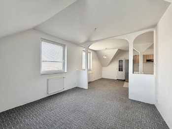 Prodej domu 407 m², Údlice