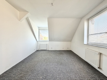 Prodej domu 407 m², Údlice