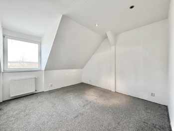 Prodej domu 407 m², Údlice