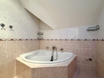 Prodej domu 407 m², Údlice