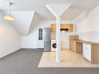 Prodej domu 407 m², Údlice