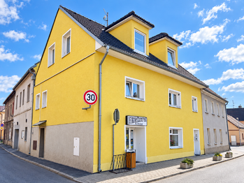 Prodej domu 407 m², Údlice