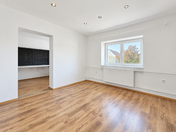 Prodej domu 407 m², Údlice