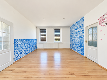 Prodej domu 407 m², Údlice