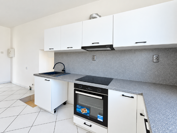 Prodej domu 407 m², Údlice