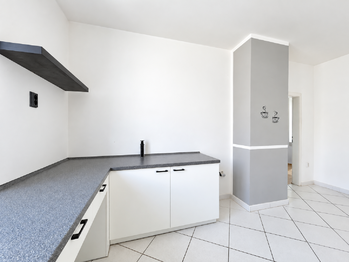 Prodej domu 407 m², Údlice