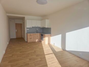 obývací pokoj s kuch. koutem - Pronájem bytu 1+kk v osobním vlastnictví 32 m², České Budějovice
