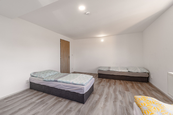 Prodej ubytovacího zařízení 361 m², Dětřichov