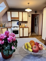 Prodej bytu 6 a více v osobním vlastnictví 254 m², Kočí