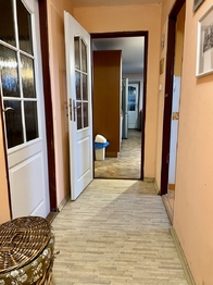 Prodej bytu 6 a více v osobním vlastnictví 254 m², Kočí