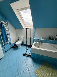 Prodej bytu 6 a více v osobním vlastnictví 254 m², Kočí