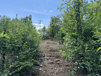 Pronájem pozemku 851 m², Lipník nad Bečvou