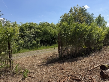 Pronájem pozemku 851 m², Lipník nad Bečvou
