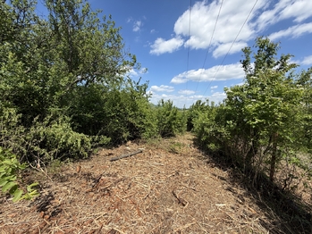 Pronájem pozemku 851 m², Lipník nad Bečvou