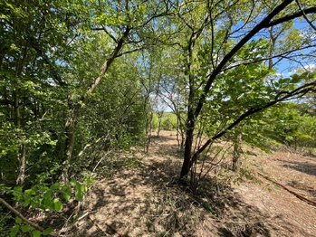 Pronájem pozemku 851 m², Lipník nad Bečvou