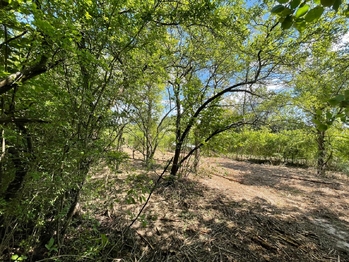 Pronájem pozemku 851 m², Lipník nad Bečvou