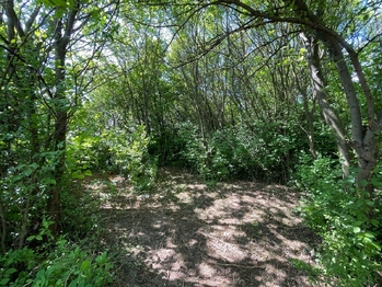 Pronájem pozemku 851 m², Lipník nad Bečvou