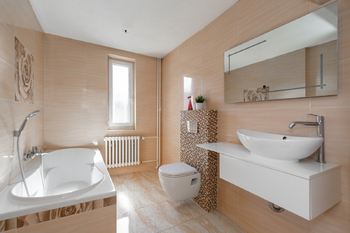 Prodej domu 300 m², Měchenice