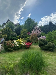 Prodej domu 300 m², Měchenice