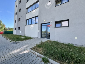 Pronájem bytu 1+kk v osobním vlastnictví 36 m², Heřmanova Huť