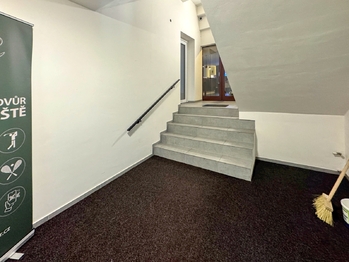 Pronájem obchodních prostor 1100 m², Brno