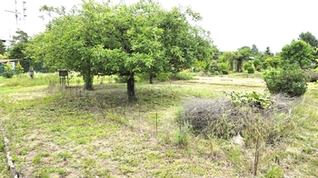 Prodej pozemku 435 m², Kralupy nad Vltavou