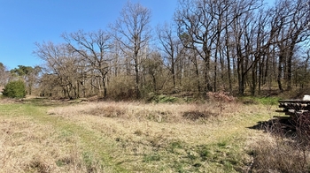 Prodej pozemku 802 m², Všejany