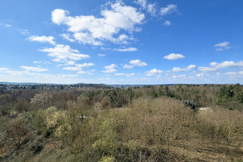 Pronájem bytu 4+kk v osobním vlastnictví 4561 m², Plzeň