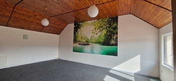 Prodej ubytovacího zařízení 260 m², Holubov