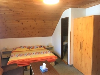 Ubytování  - Prodej ubytovacího zařízení 260 m², Holubov