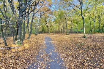 Prodej bytu 4+kk v osobním vlastnictví 239 m², Praha 4 - Modřany