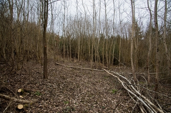 Prodej pozemku 2388 m², Brtnice