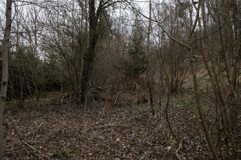 Prodej pozemku 2388 m², Brtnice