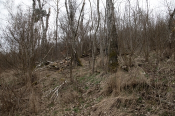 Prodej pozemku 2388 m², Brtnice