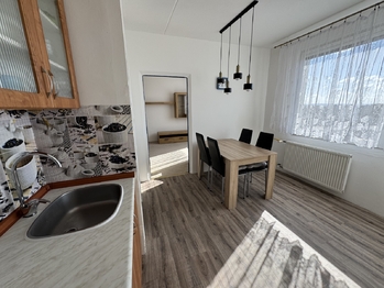kuchyně - Pronájem bytu 1+1 v osobním vlastnictví 39 m², Plzeň