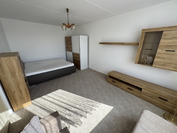 pokoj - Pronájem bytu 1+1 v osobním vlastnictví 39 m², Plzeň