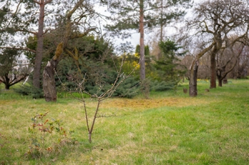 Prodej pozemku 2410 m², Brno